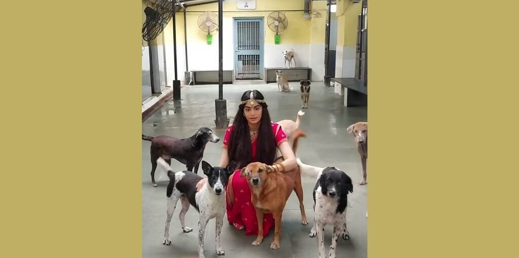 Adah appeals to the Prime Minister on behalf of the stray animals