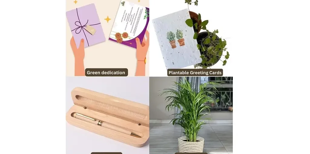 4 Thoughtful Green Gifts for Your Mentor on Teachers' Day